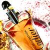 Cartier Déclaration Parfum 2