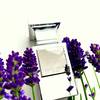 Tom Ford Private Blend Lavender Extrême 7