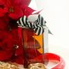 Jo Malone London Ginger Biscuit Cologne 5