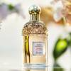 Aqua Allegoria Flora Cherrysia i Ginger Piccante 4