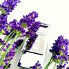 Tom Ford Private Blend Lavender Extrême 3