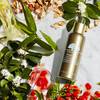 Plantscription™ Powerful Liftng Concentrate 2