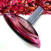 Calvin Klein Euphoria Intense 5