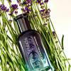 BOSS Bottled Striking Lavender 14