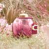 Coach Wild Rose Eau de Parfum 5