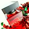 Dolce & Gabbana The Only One 2 namiętny zapach 3