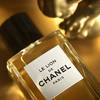 Le Lion de Chanel 4