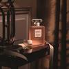 CHANEL Coco Mademoiselle L'Eau Privée 4