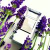 Tom Ford Private Blend Lavender Extrême 2