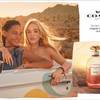 Coach Dreams Sunset 1