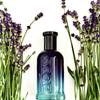 BOSS Bottled Striking Lavender 39