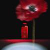 Jo Malone London Scarlet Poppy 13