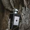 Jo Malone London Bronze Wood & Leather 7