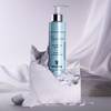 Sisley Paris Le Sculpteur 4