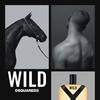 Dsquared2 Wild - nowy zapach męski 3