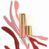 Sisley Paris Phyto-Poudre Compacte & Le Phyto-Gloss 3