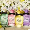 Dolce Shine Dolce & Gabbana 15
