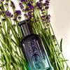 BOSS Bottled Striking Lavender 37