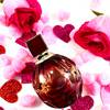 Walentynkowy duet Jimmy Choo 2