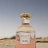 Coach Dreams Sunset 6