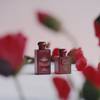 Jo Malone London Scarlet Poppy 15