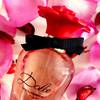 Dolce Rose Dolce&Gabbana 8