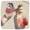 Coach Dreams Sunset 5