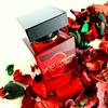 Dolce & Gabbana The Only One 2 namiętny zapach 6