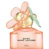 Daisy Marc Jacobs Daze 8