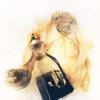 Jimmy Choo I Want Choo Forever Eau de Parfum 3