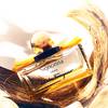 Salvatore Ferragamo Signorina Libera 9