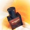 Burberry Hero Eau de Parfum 15