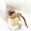 Chloé Nomade Jasmin Naturel Intense 20