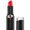 Wet n Wild Mega Last Lip Color Matt & Shinny 2