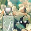L Loewe Cool 4