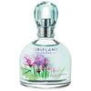 Oriflame Imagination - nowy zapach dla kobiet 2