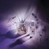Jo Malone London Lavenderland 8