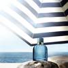 Dolce & Gabbana Light Blue Forever 12