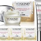 Yoskine Japan Gold 1
