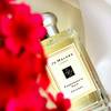 Jo Malone London Pomegranate Noir Cologne 3