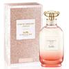 Coach Dreams Sunset 3