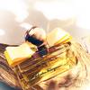 Salvatore Ferragamo Signorina Libera 13