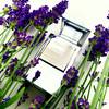 Tom Ford Private Blend Lavender Extrême 11